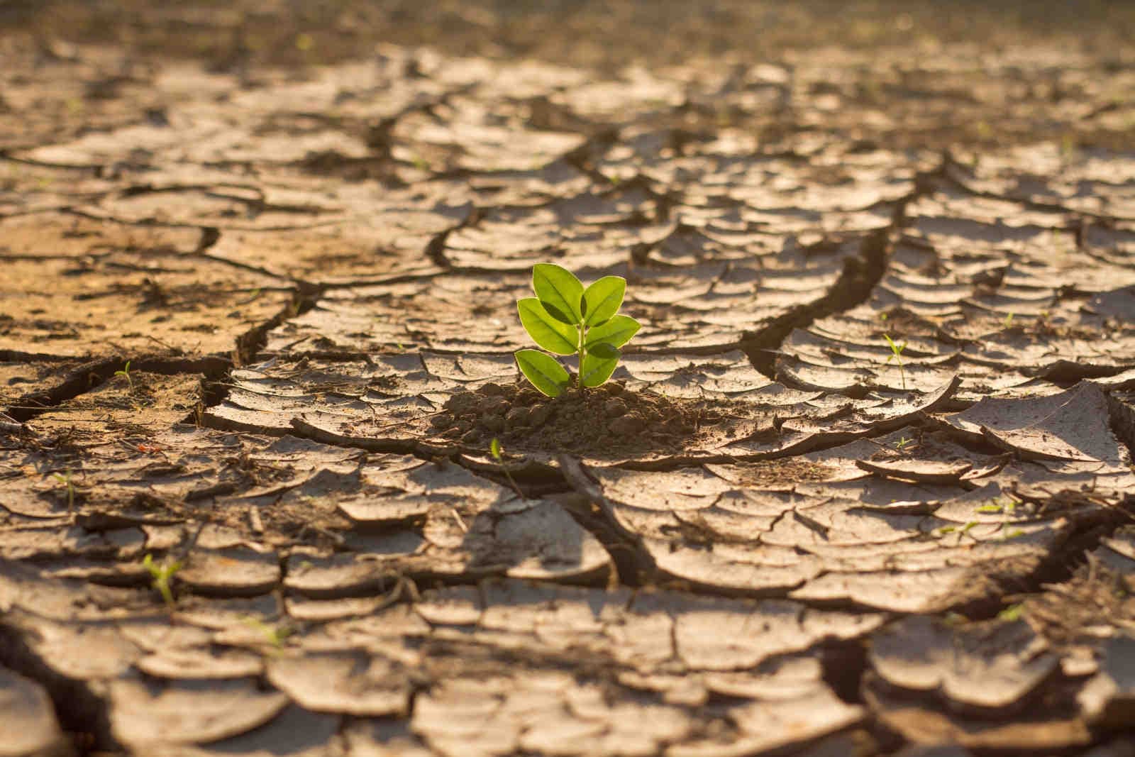 Cos’è il rischio climatico e come si valuta in azienda