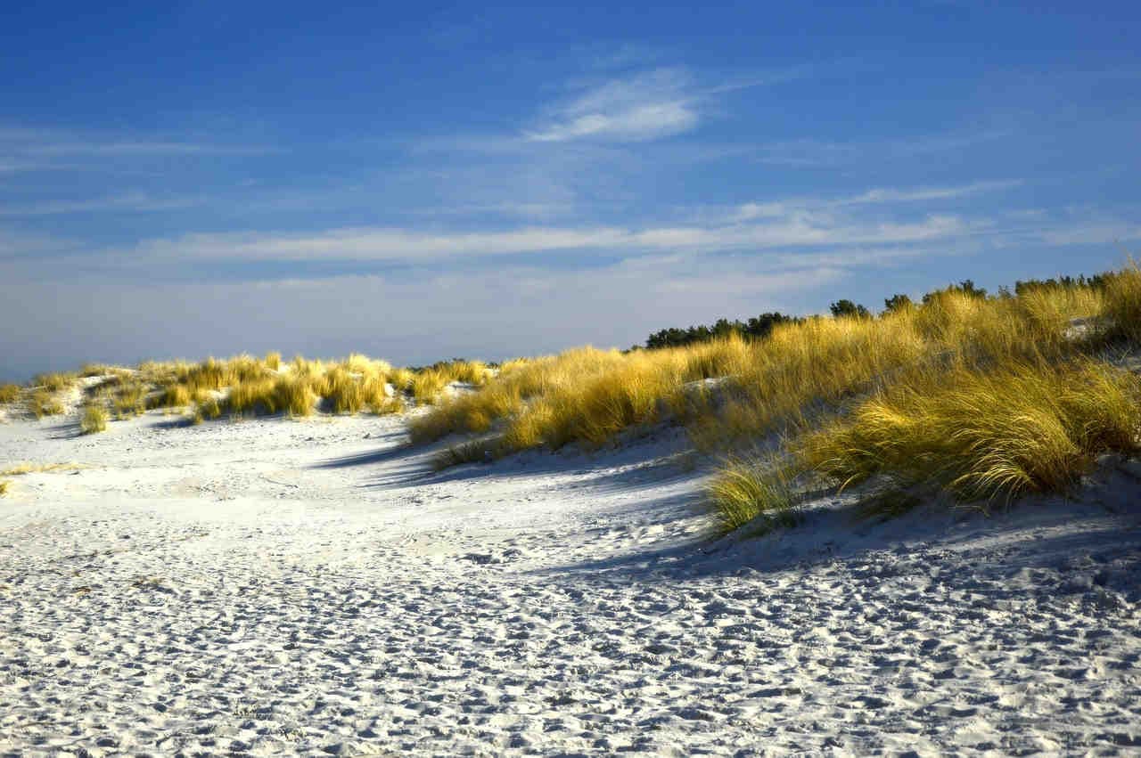 dune sabbiose