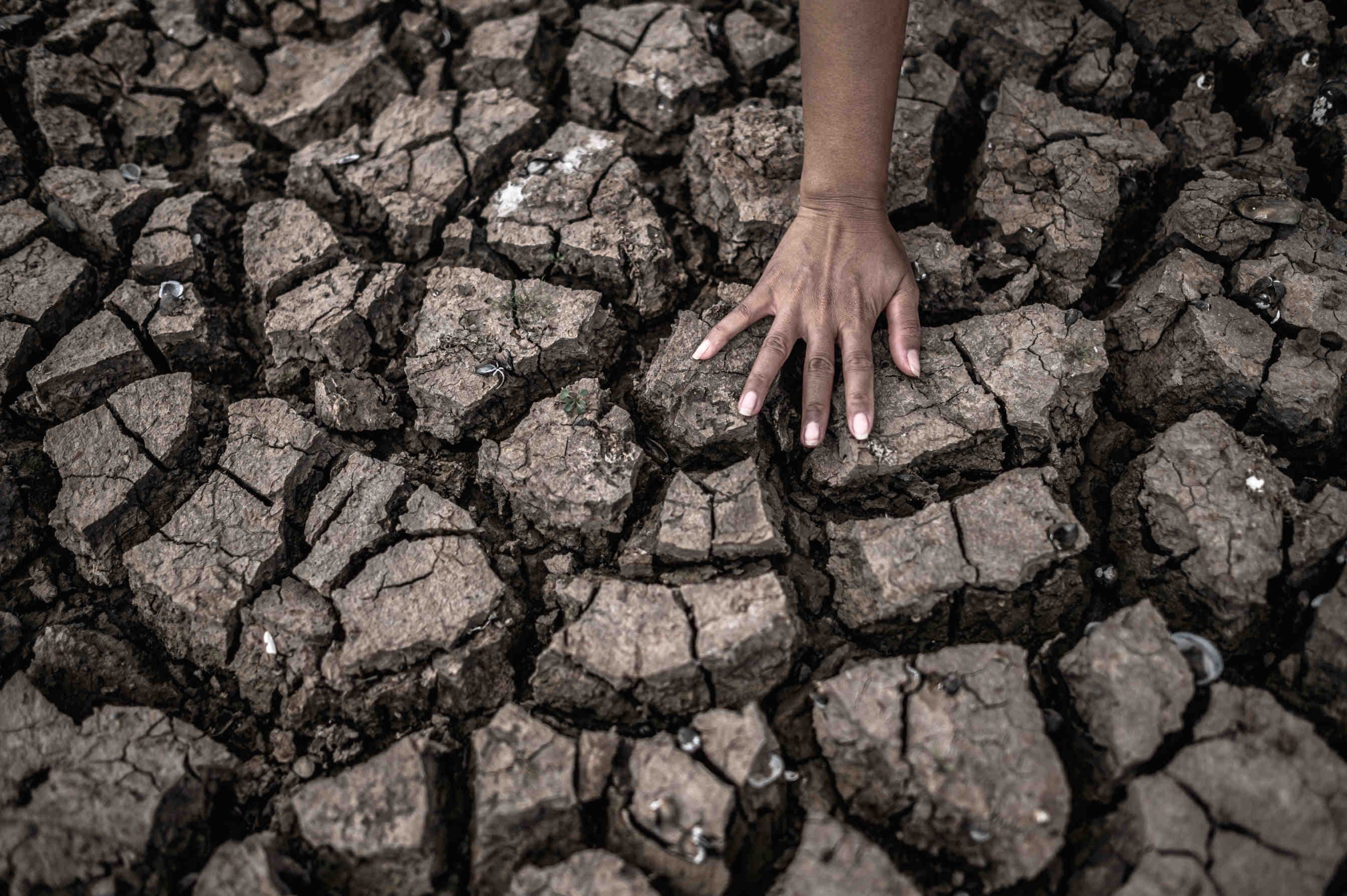 climate change