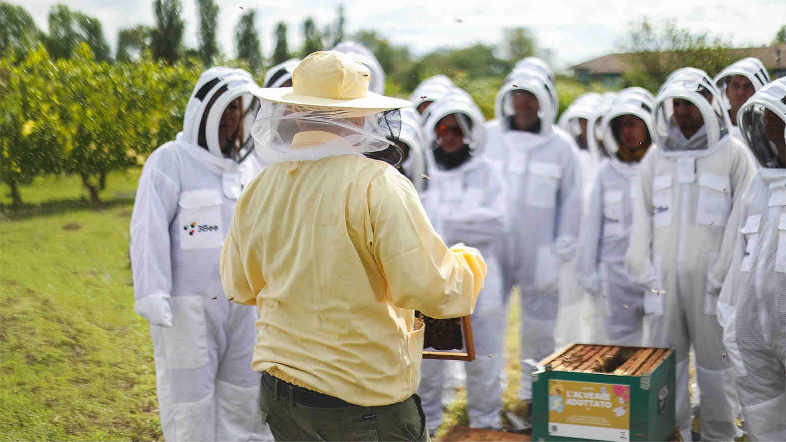 3bee-blog-esperienze-di-team-building