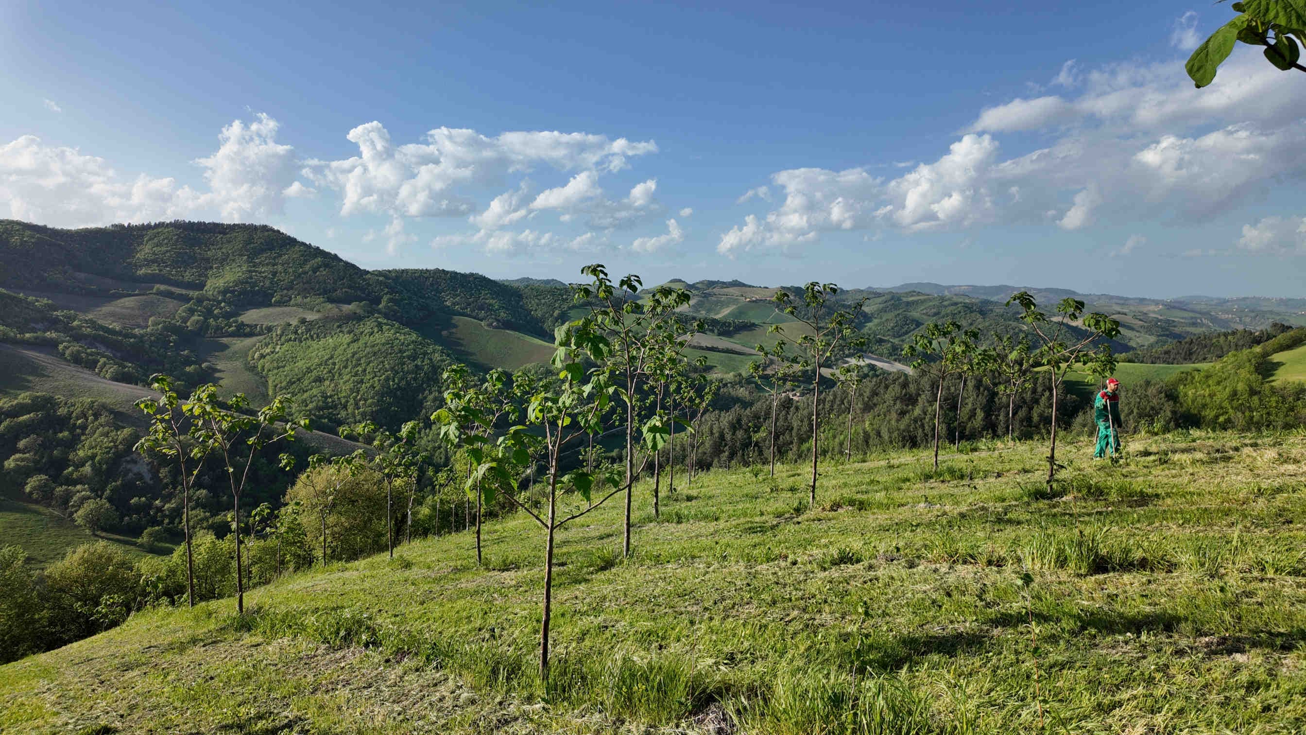 Come si misura se c'è abbastanza verde
