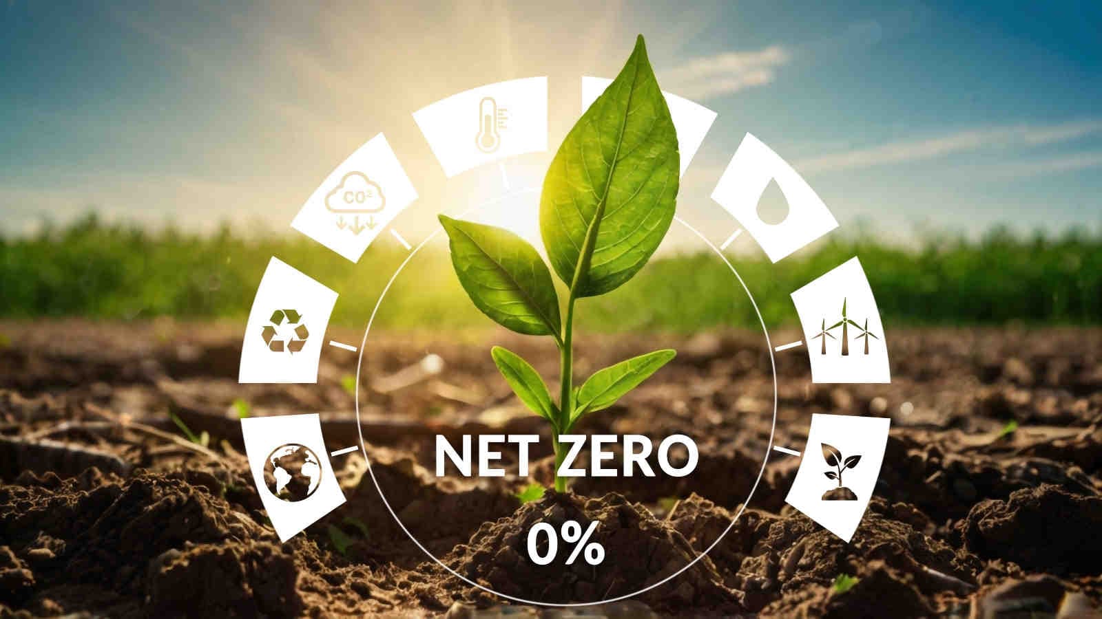 Cos’è una strategia Net Zero e come implementarla in azienda