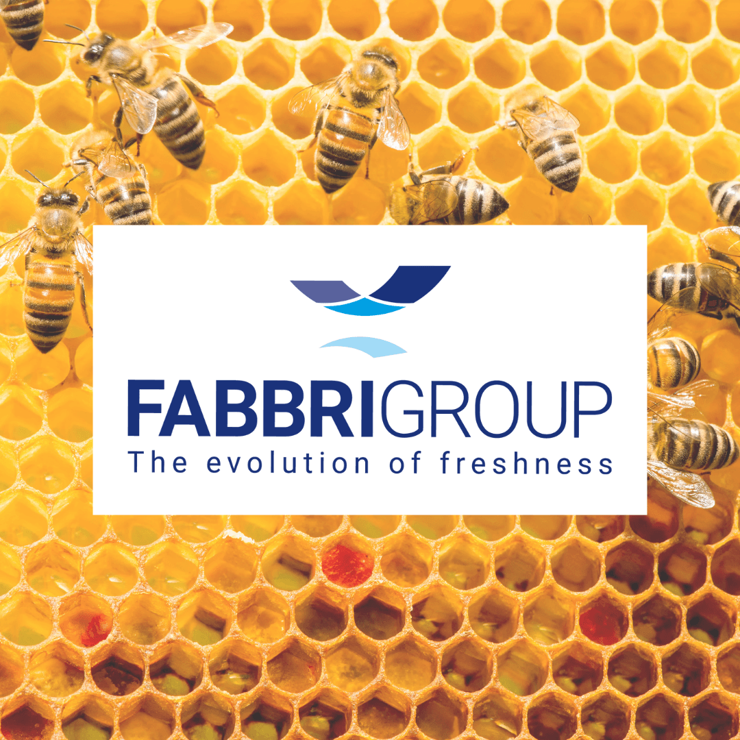 Bee Way - Fabbri 4 Planet
