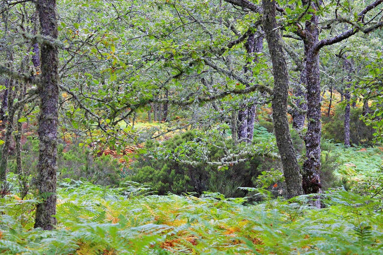 Que souhaite améliorer la gestion moderne de l'agriculture et de la forêt ?