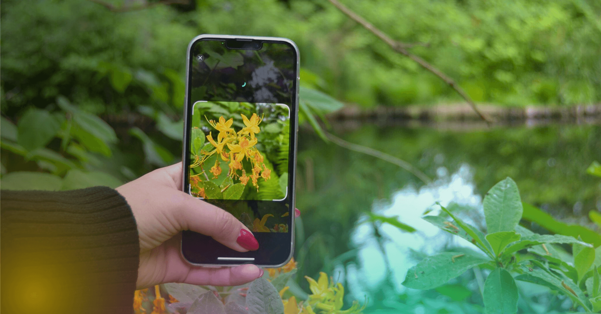 app biodiversa