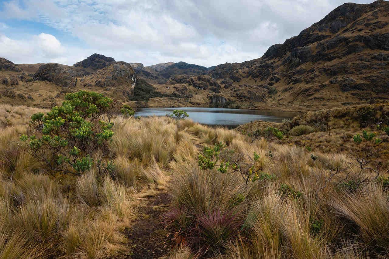 habitat