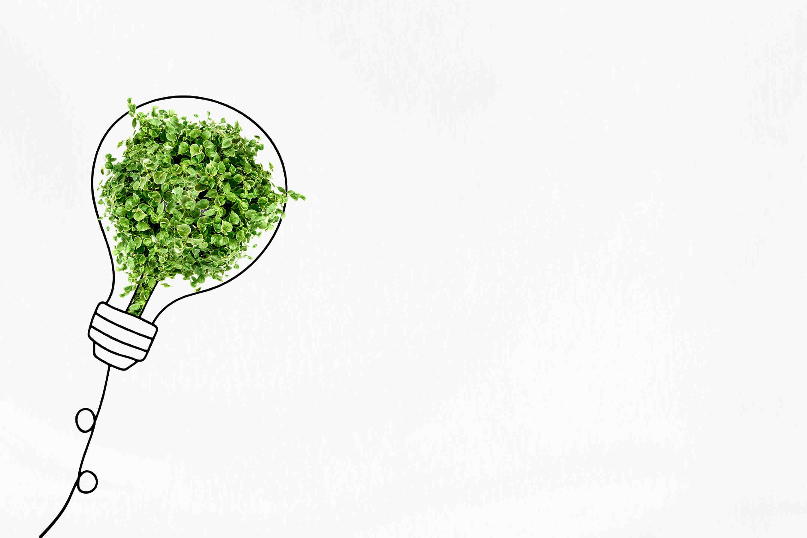 Greenwashing idea