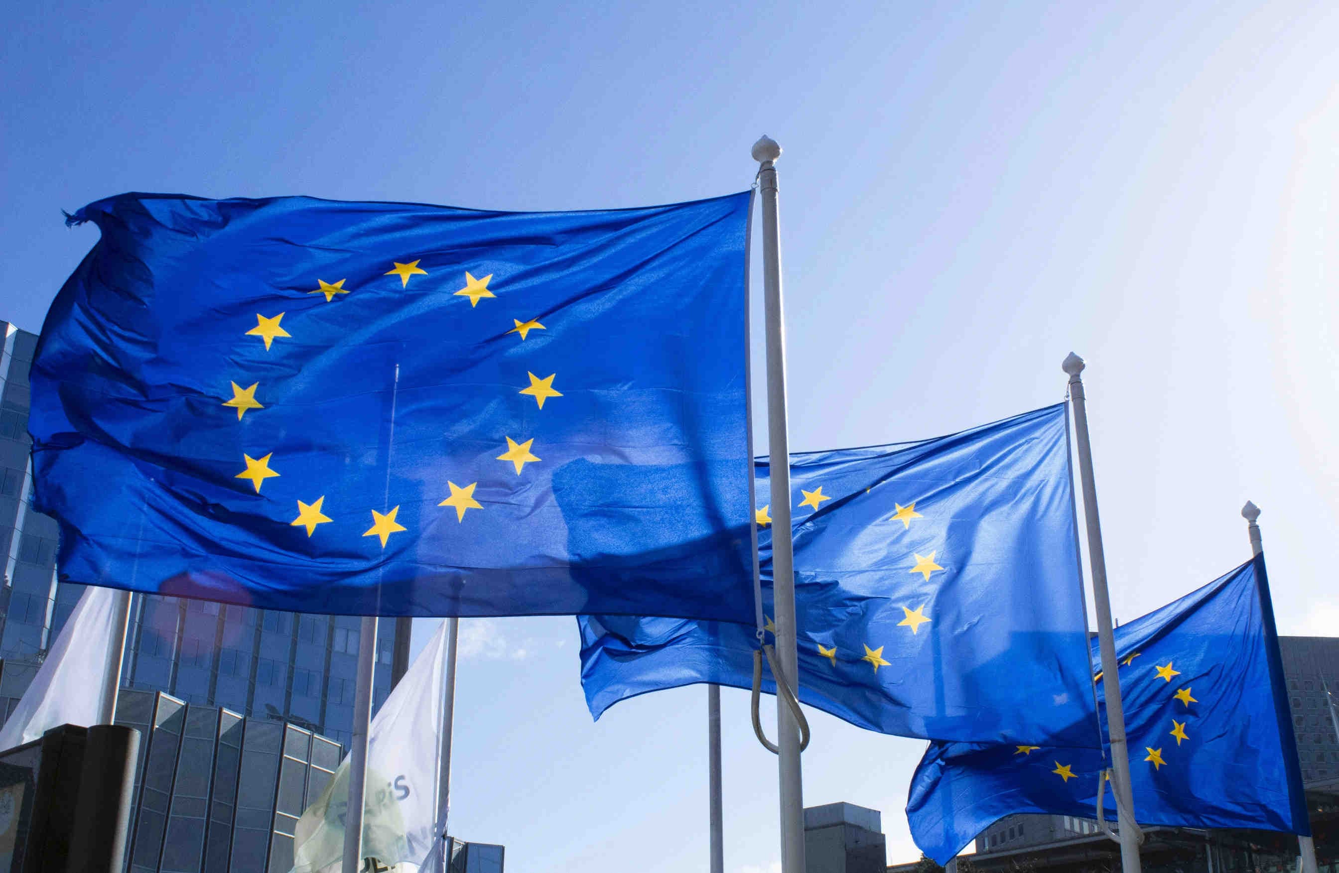 3bee-blog-il-consorzio-di-ricerca-partnership-e-sinergie-europee