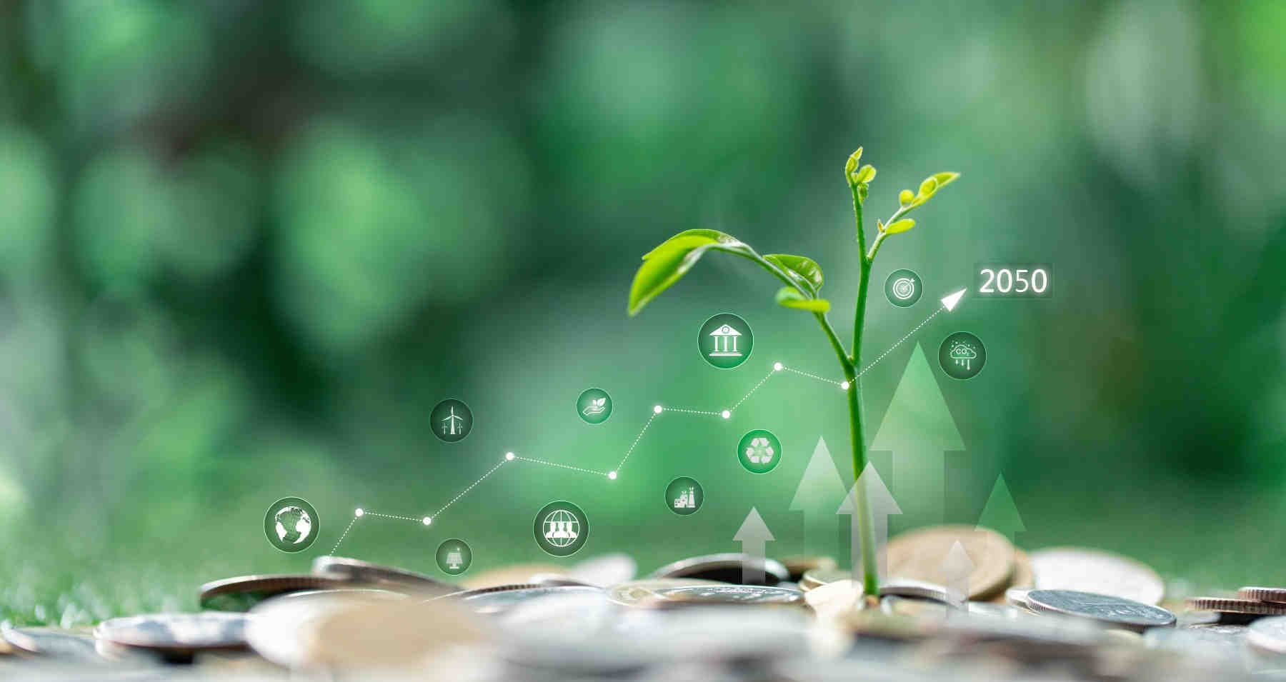 Finanza sostenibile e crediti naturali