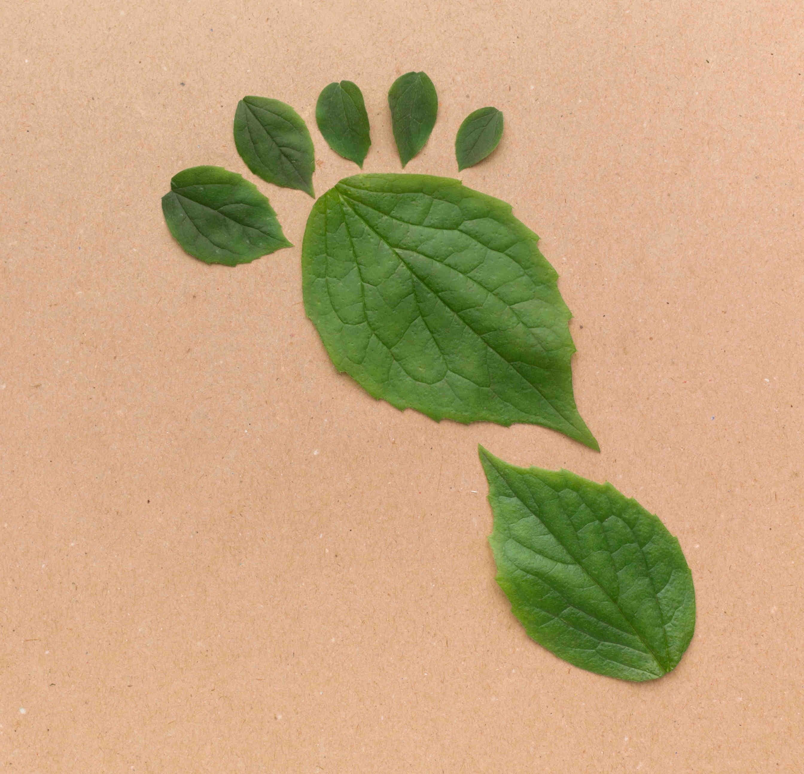 carbon footprint