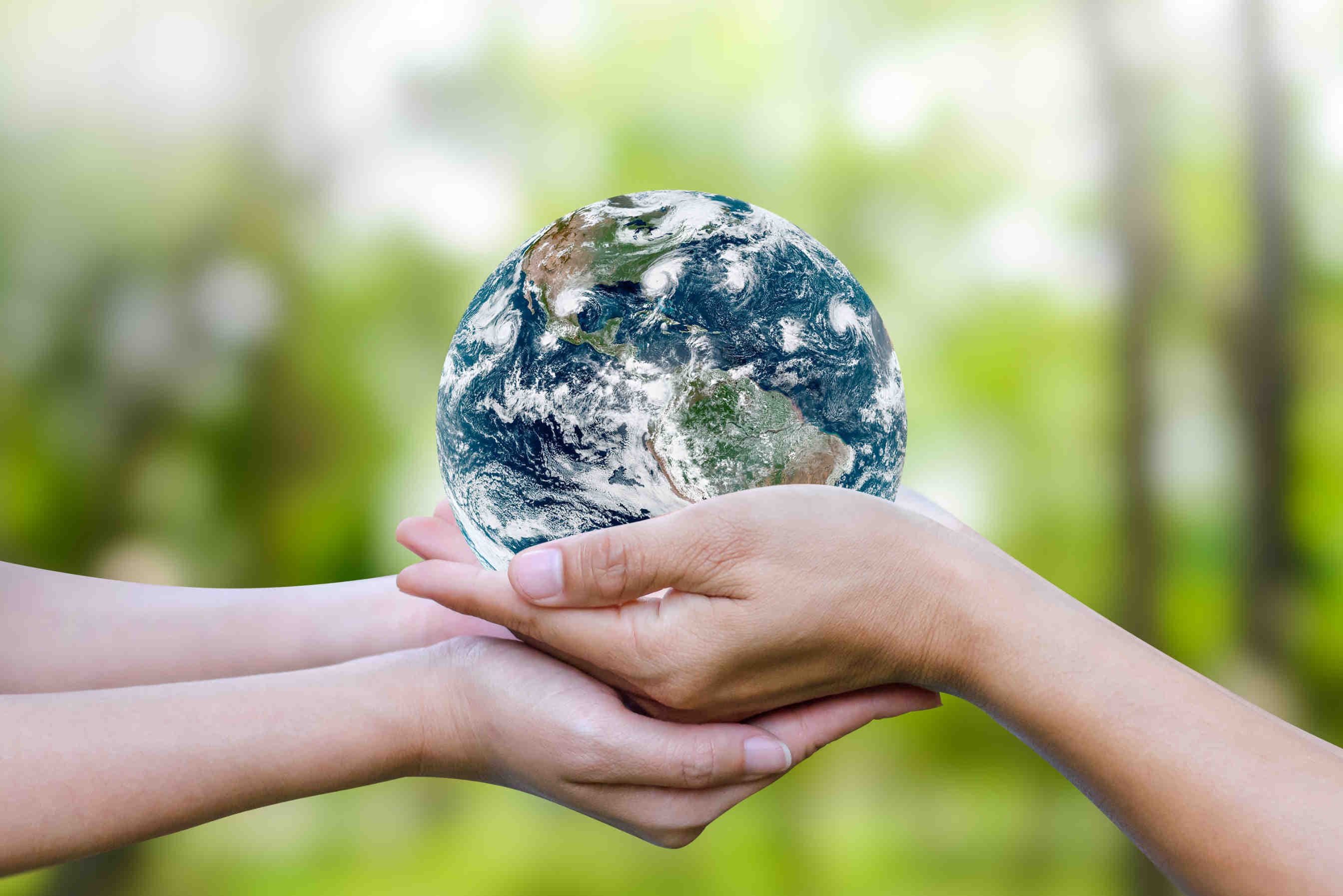 Che cos'è la COP28?