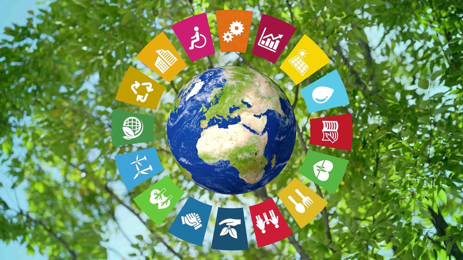 ESG e industria alimentare: dalla filiera ai nuovi standard