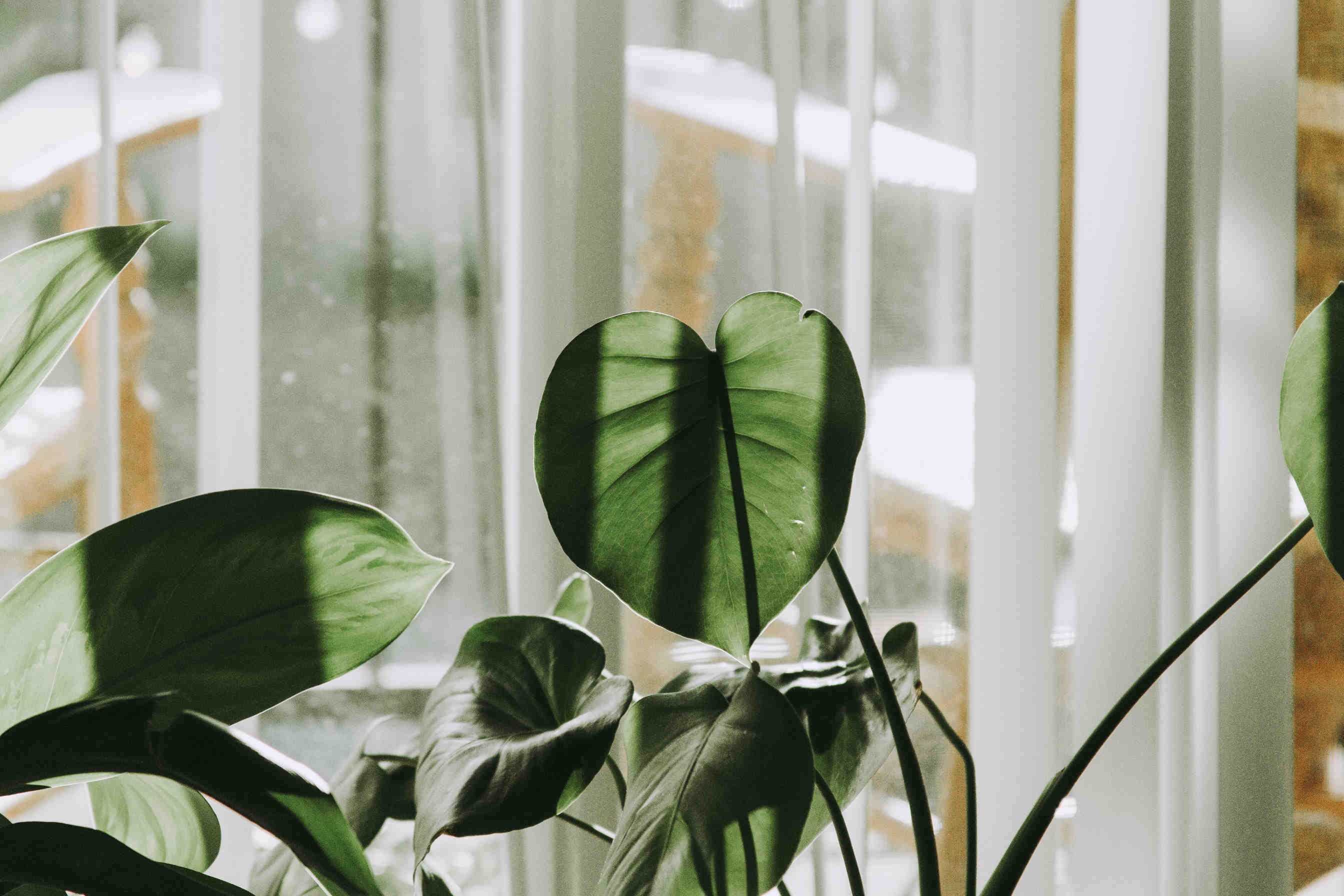 Regali ecosostenibili per la casa
