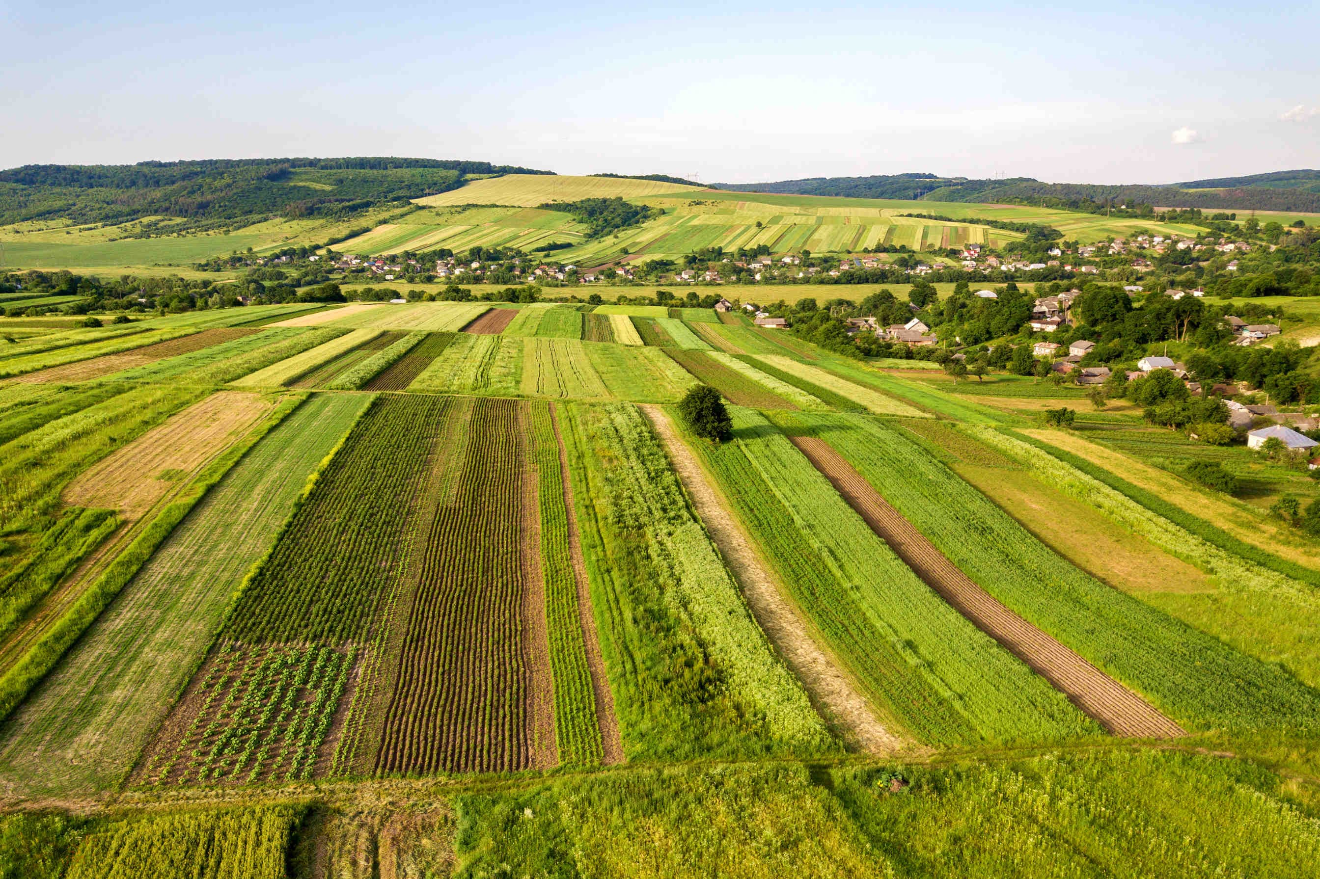 ecosistema agricolo