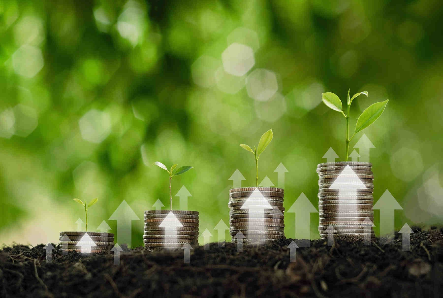 Come attivare un piano aziendale per la transizione ecologica