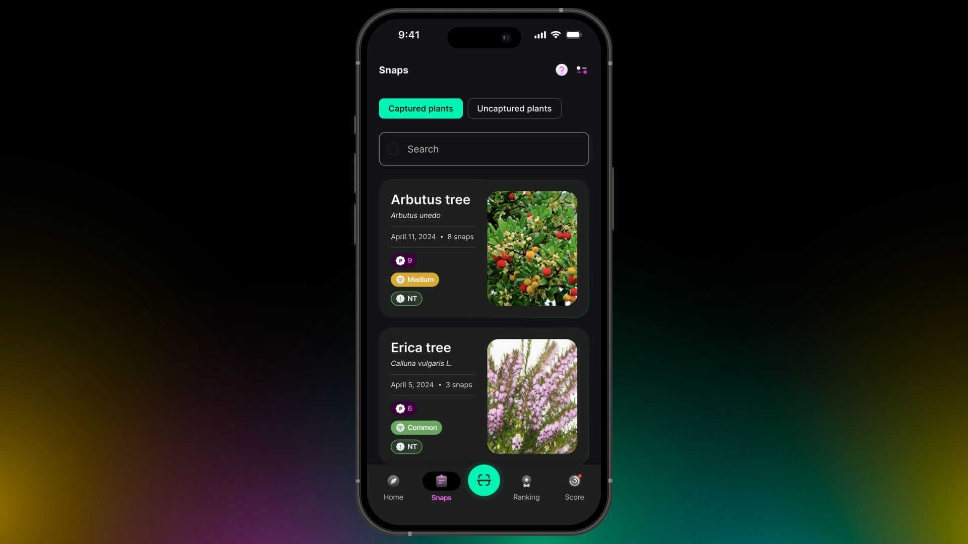 Biodiversa deck