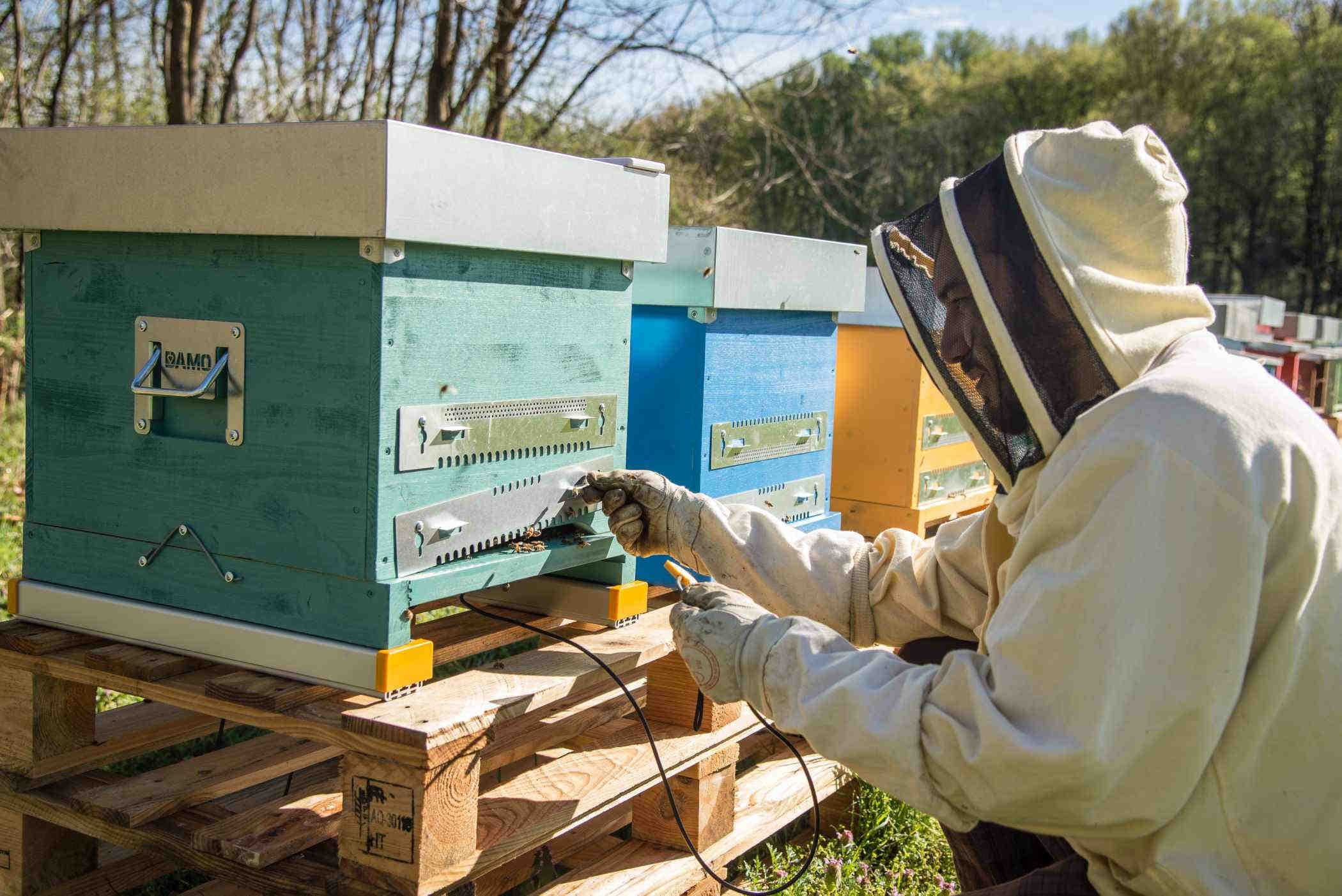 IT è innovazione