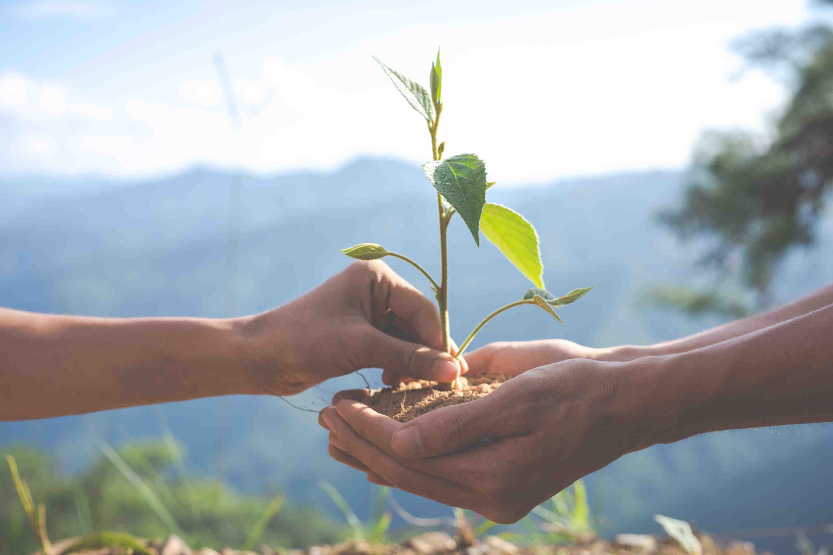 Un dessin de la terre portée par un homme et une femme agenouillée plante des arbres