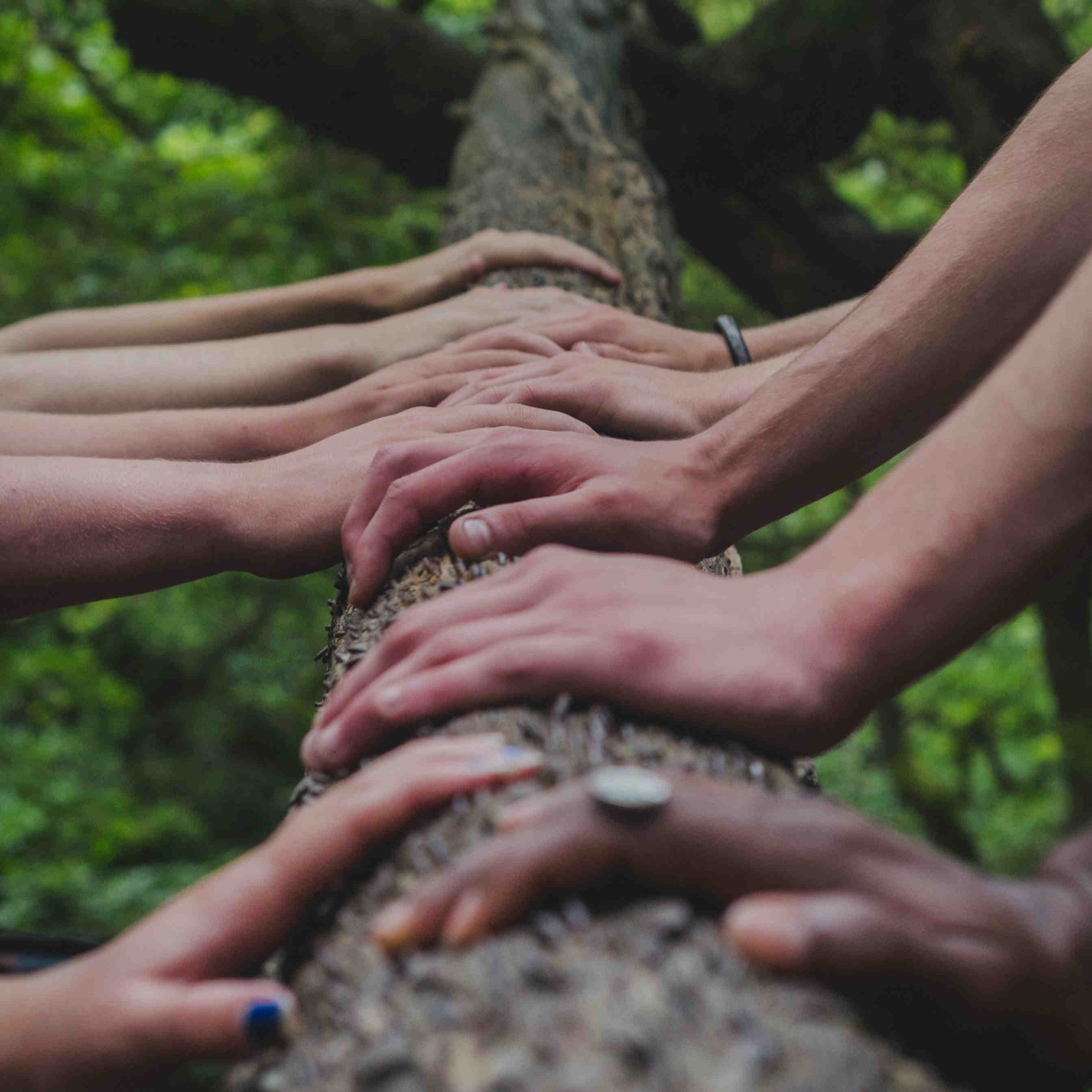 Collaborazione