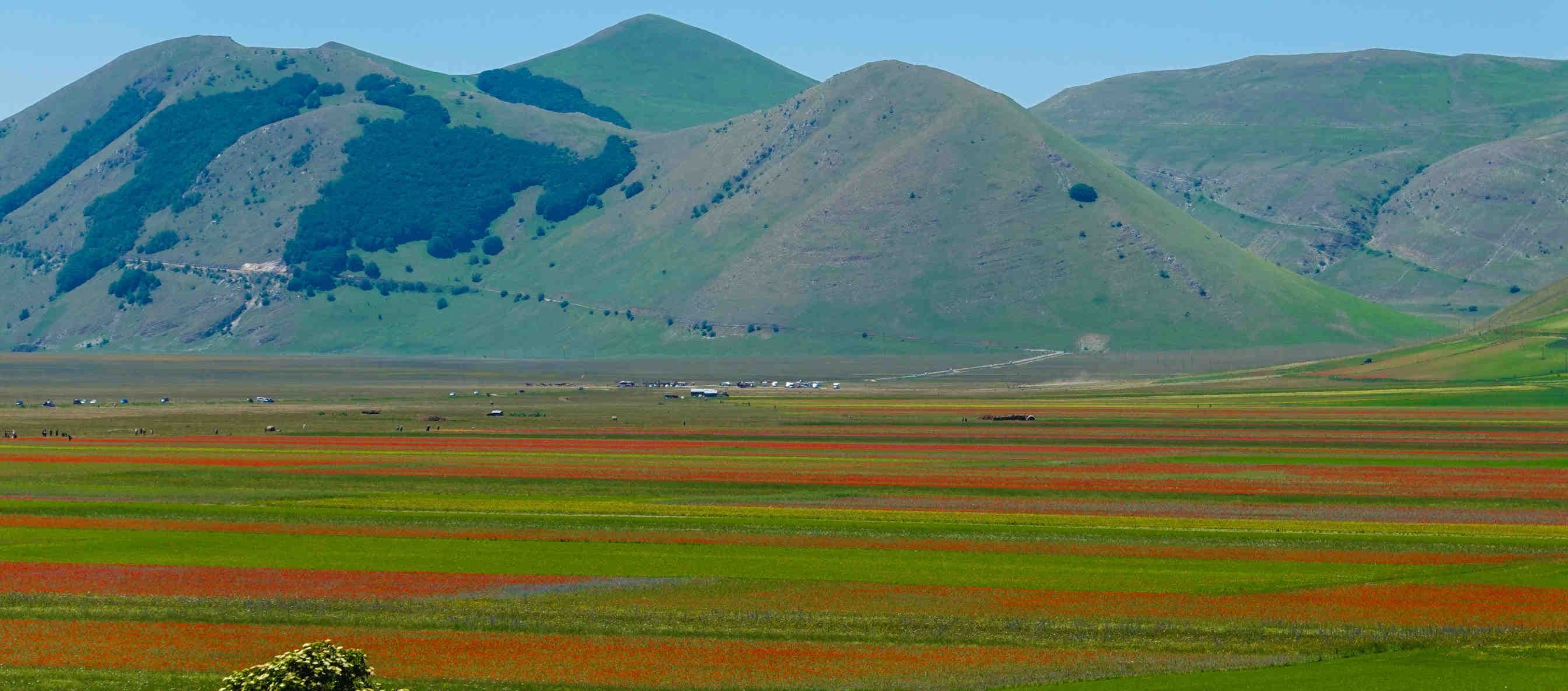 castelluccio di norcia biodiversità