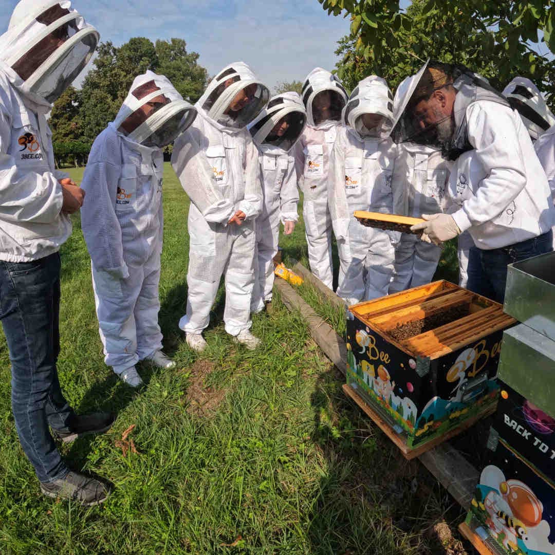 Unternehmensvorteile des Biodiversity Adventure-Pakets