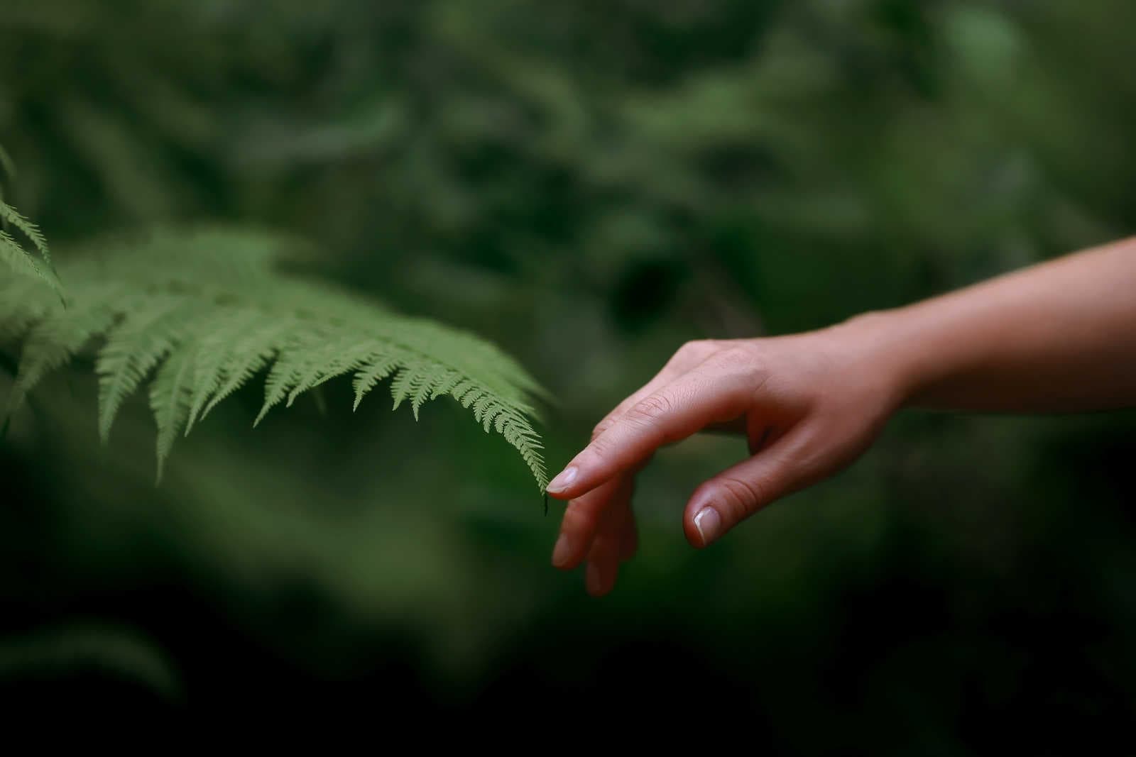 Le soluzioni nature-based: approcci e benefici