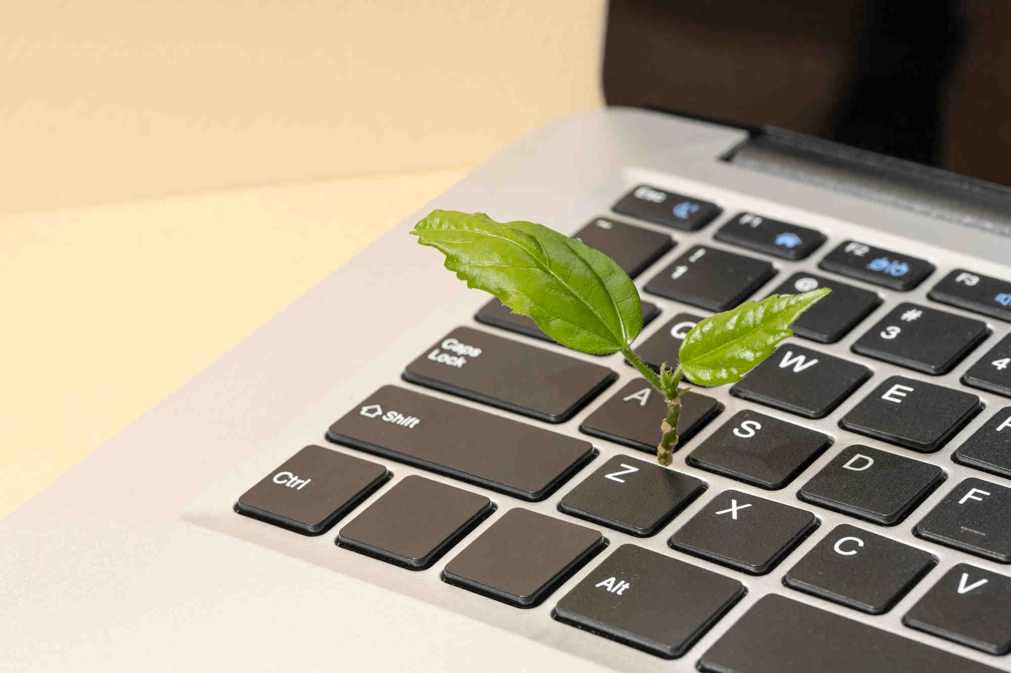 green claim comunicazione