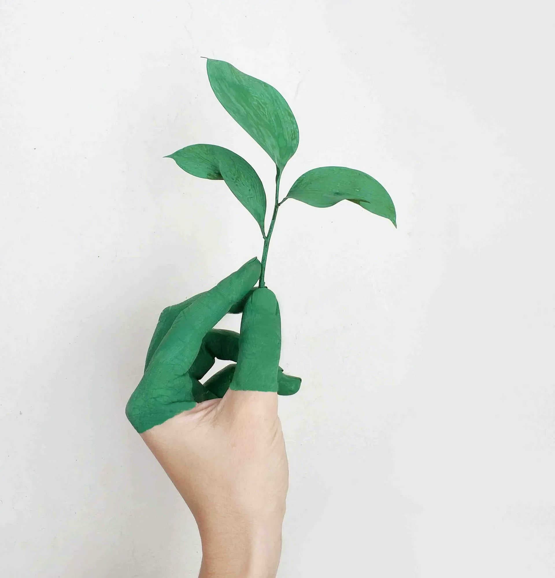 Green Hushing : les entreprises se taisent sur le DD