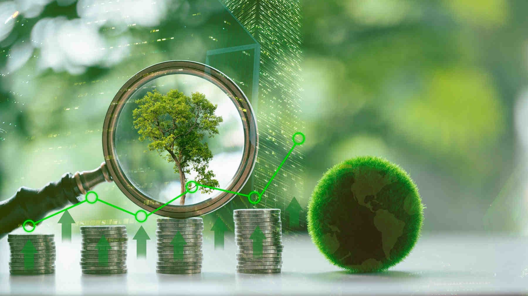 Come allineare la tua azienda agli obiettivi climatici del Green Deal UE