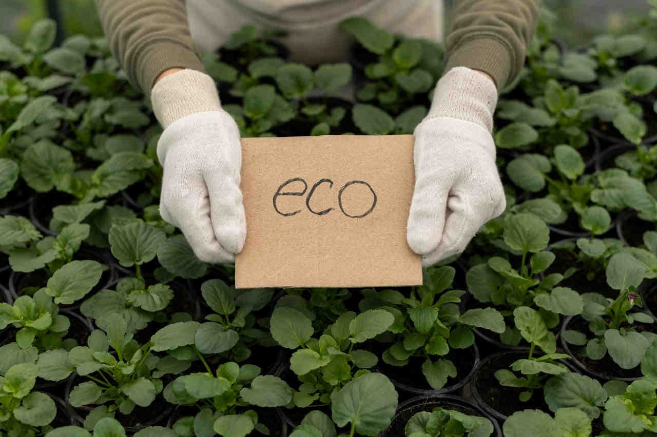 Measuring CO2 emissions and setting targets