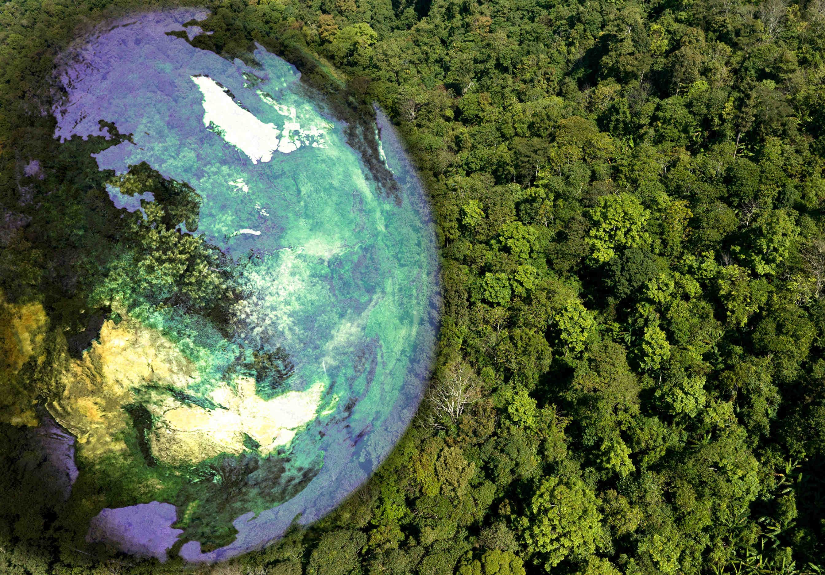 giornata internazionale della madre terra