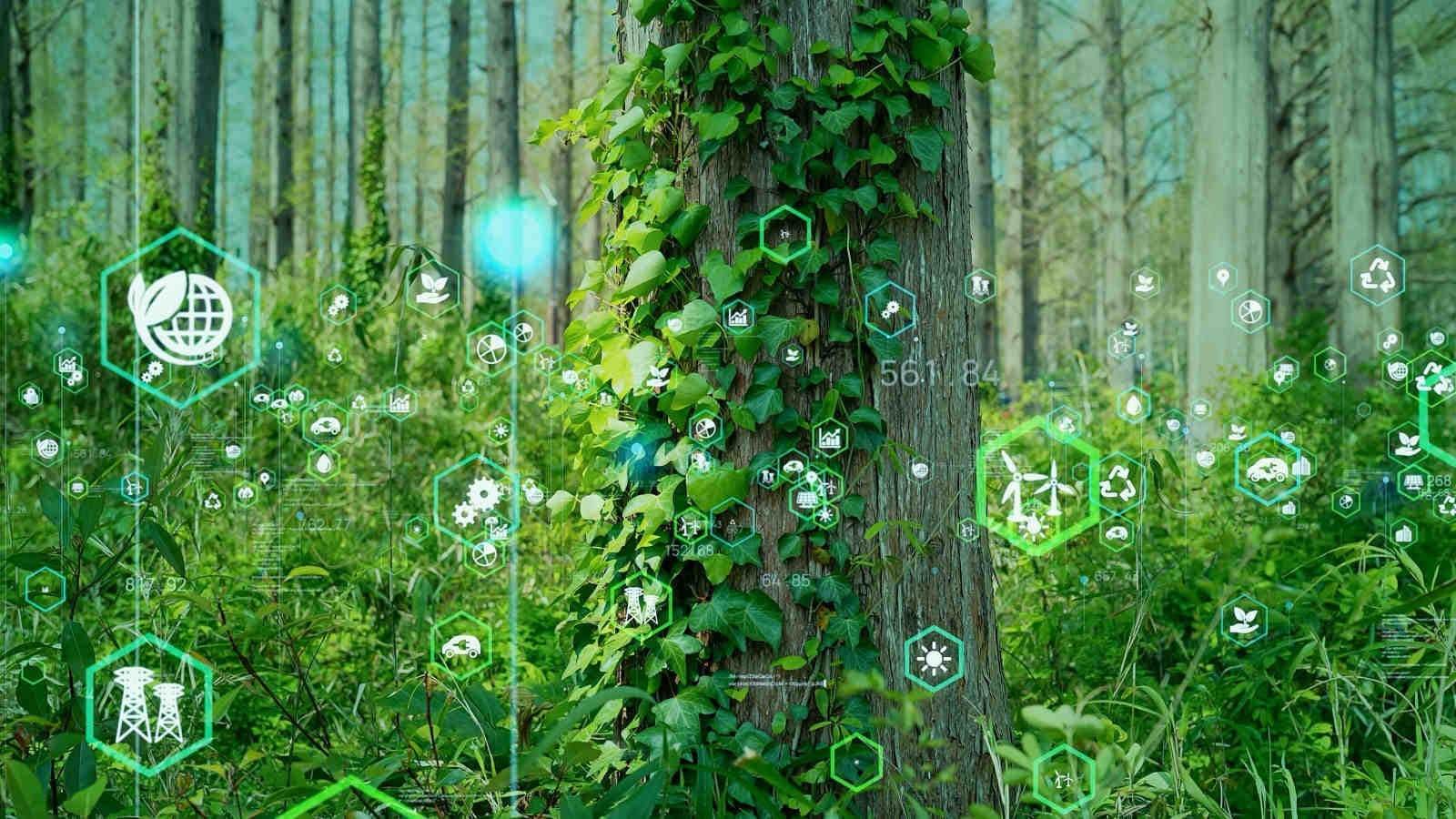 Natura e adozione di tecnologie pulite