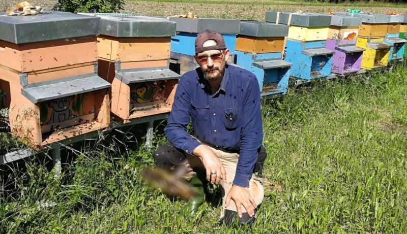 Apiculture La Gioiosa