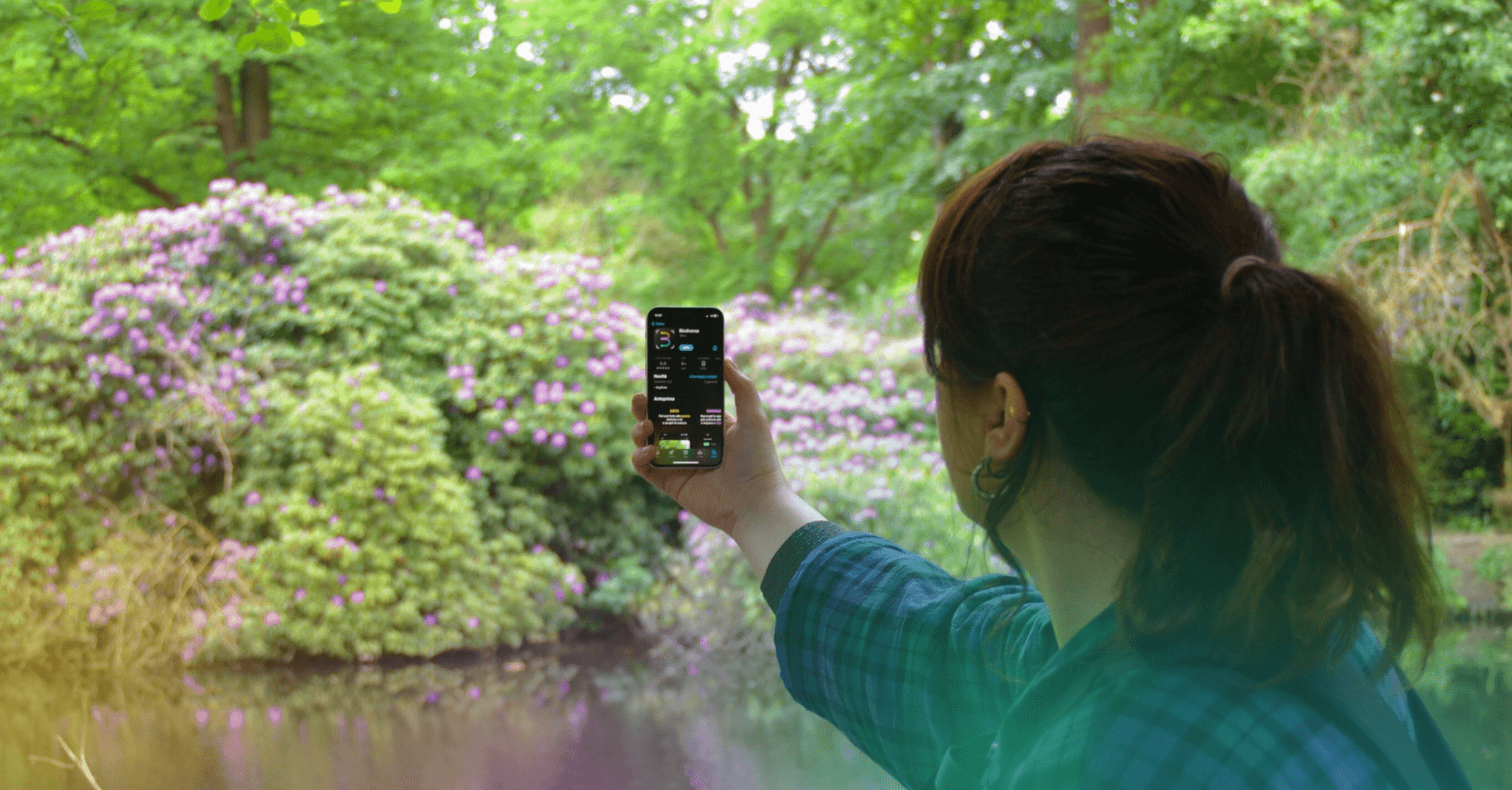 Biodiversa, 3Bee's game app: how does it work?