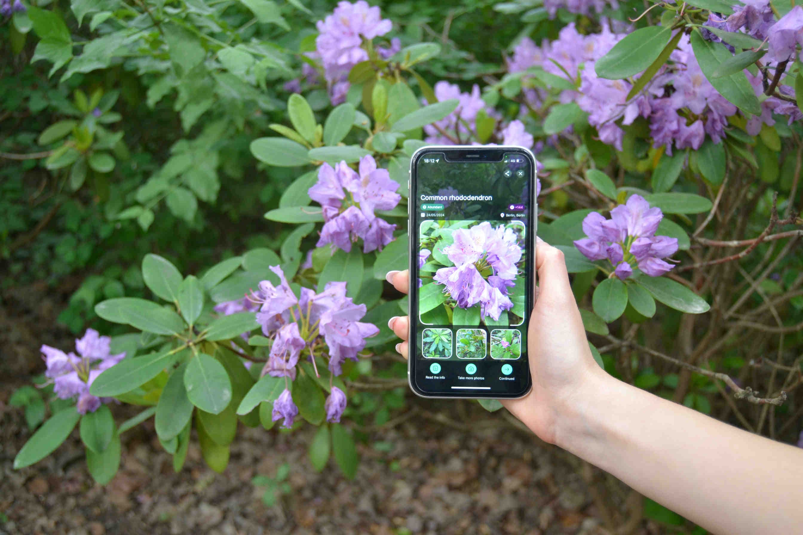 Biodiversa app