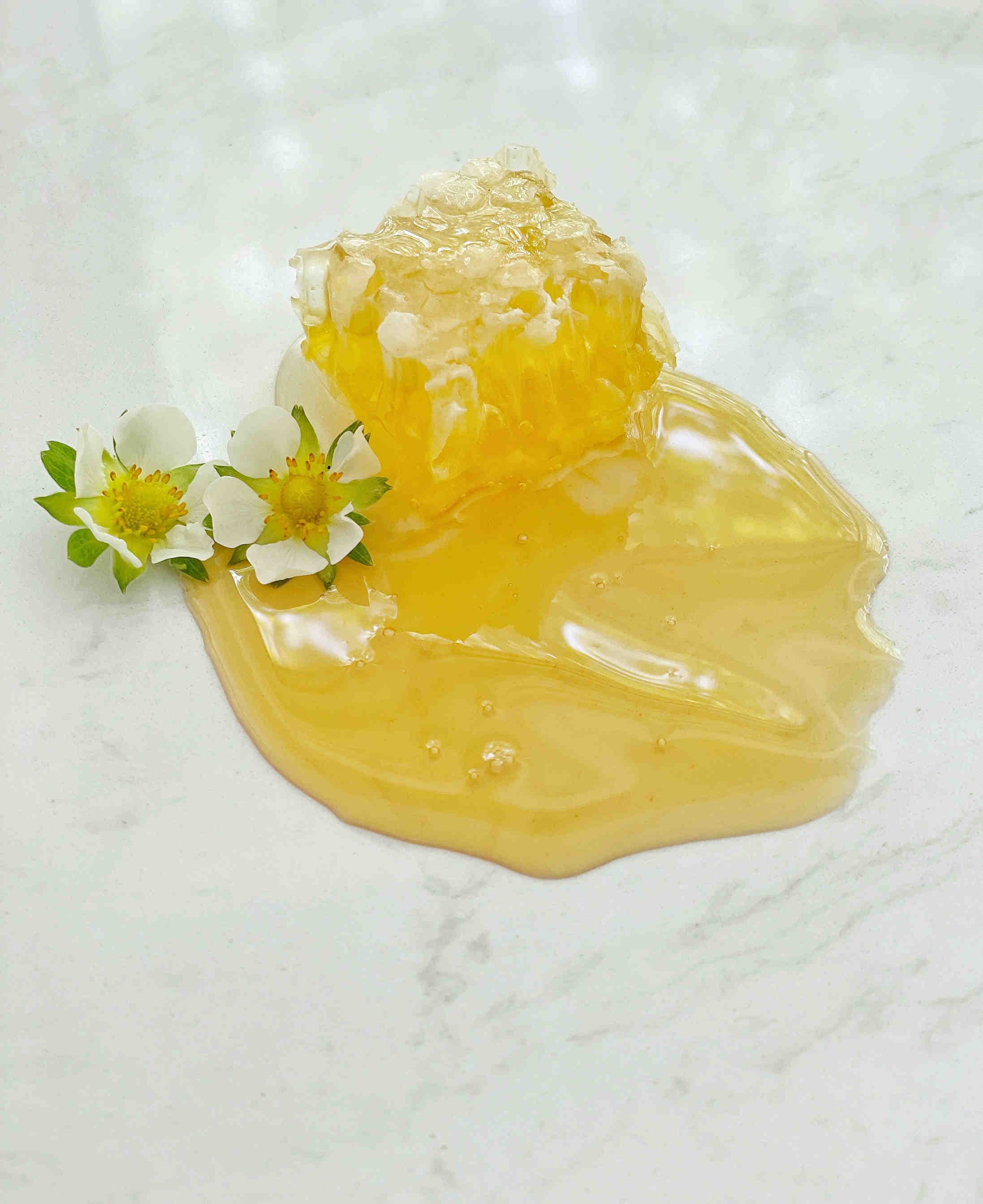 Les produits de la ruche : la propolis