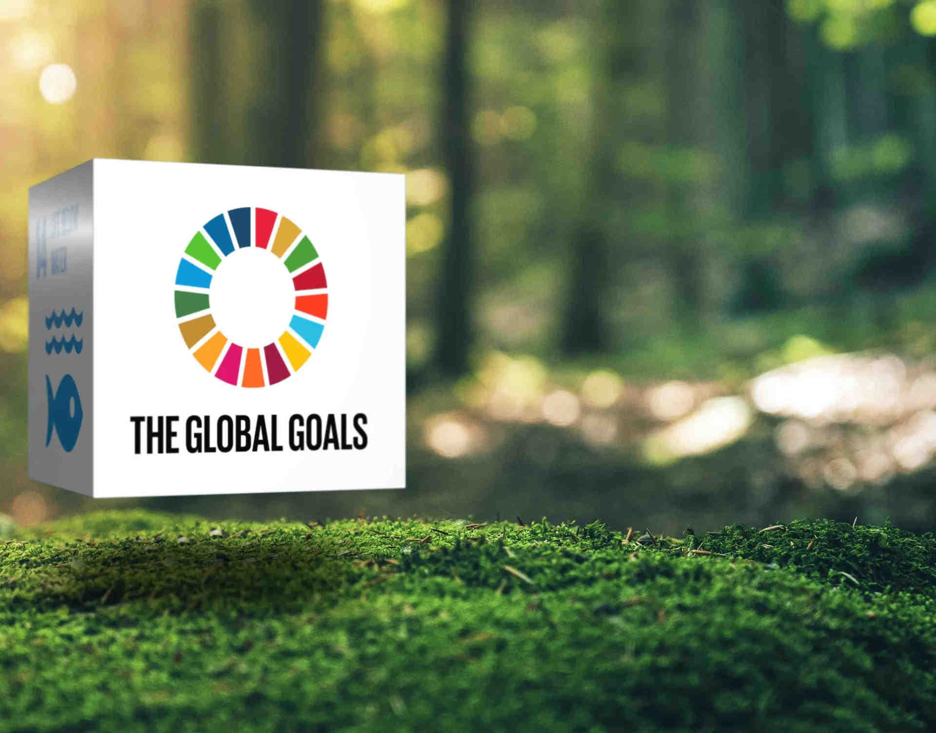 L'évolution des rapports sur le développement durable