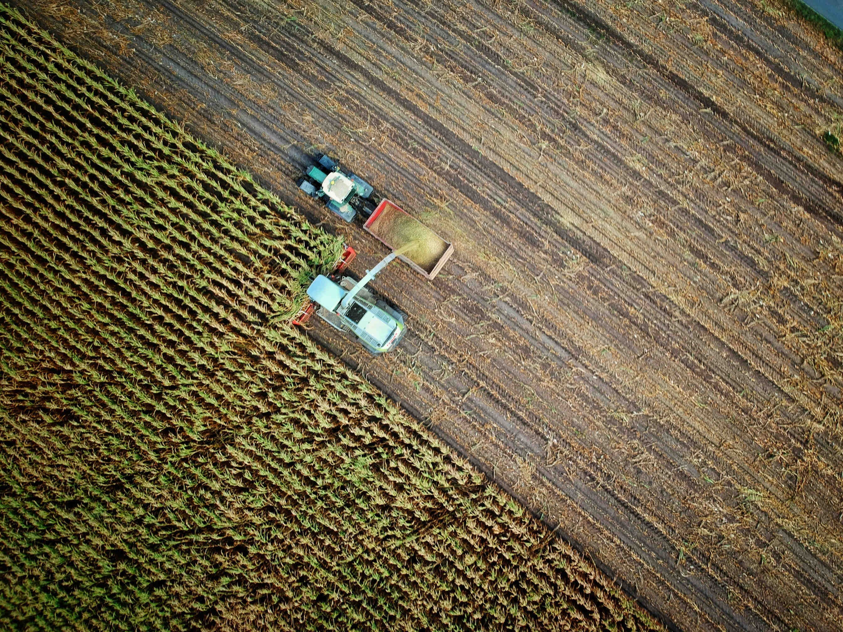 pratiche agricole