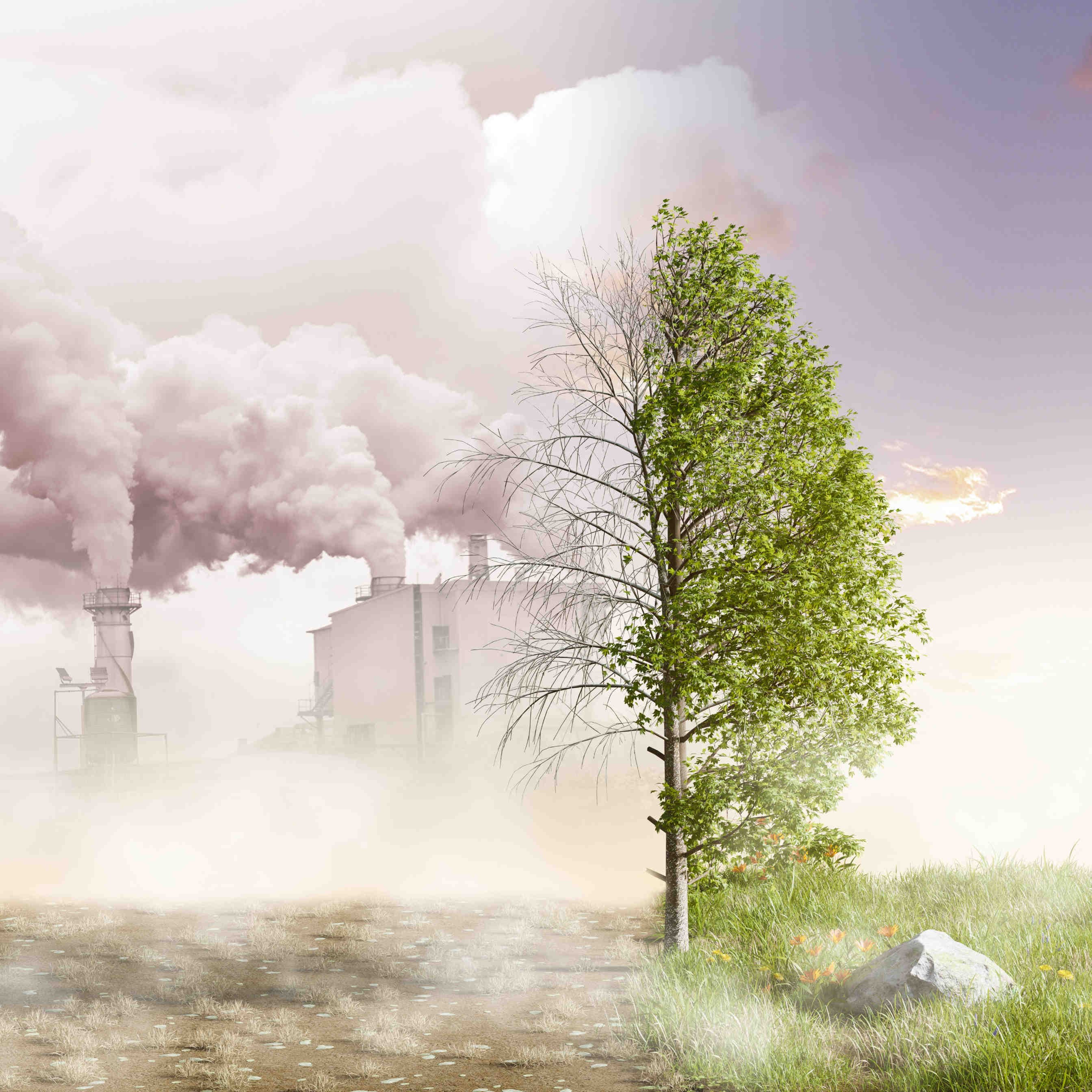biodiversità inquinamento