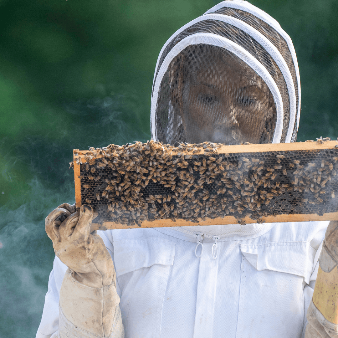 2) Fai conoscere la tua attività in tutta Italia