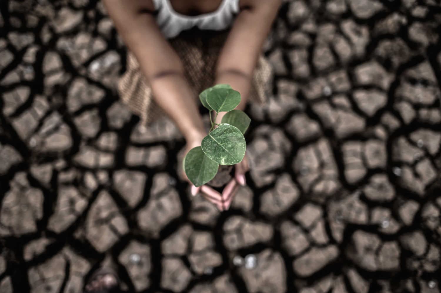 Future Risks Report: rischio climatico al primo posto