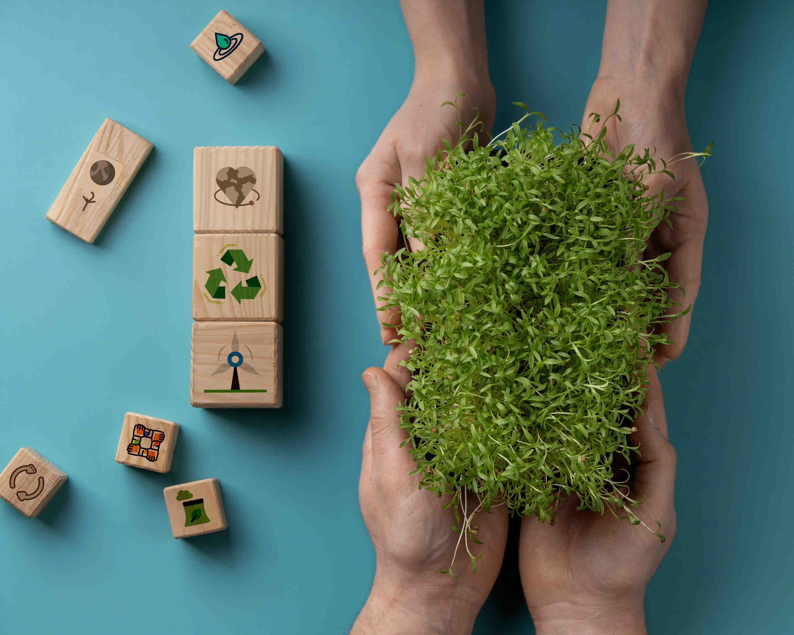 3bee-blog-i-quattro-green-claim-condannati-e-assenza-di-impatto.jpg