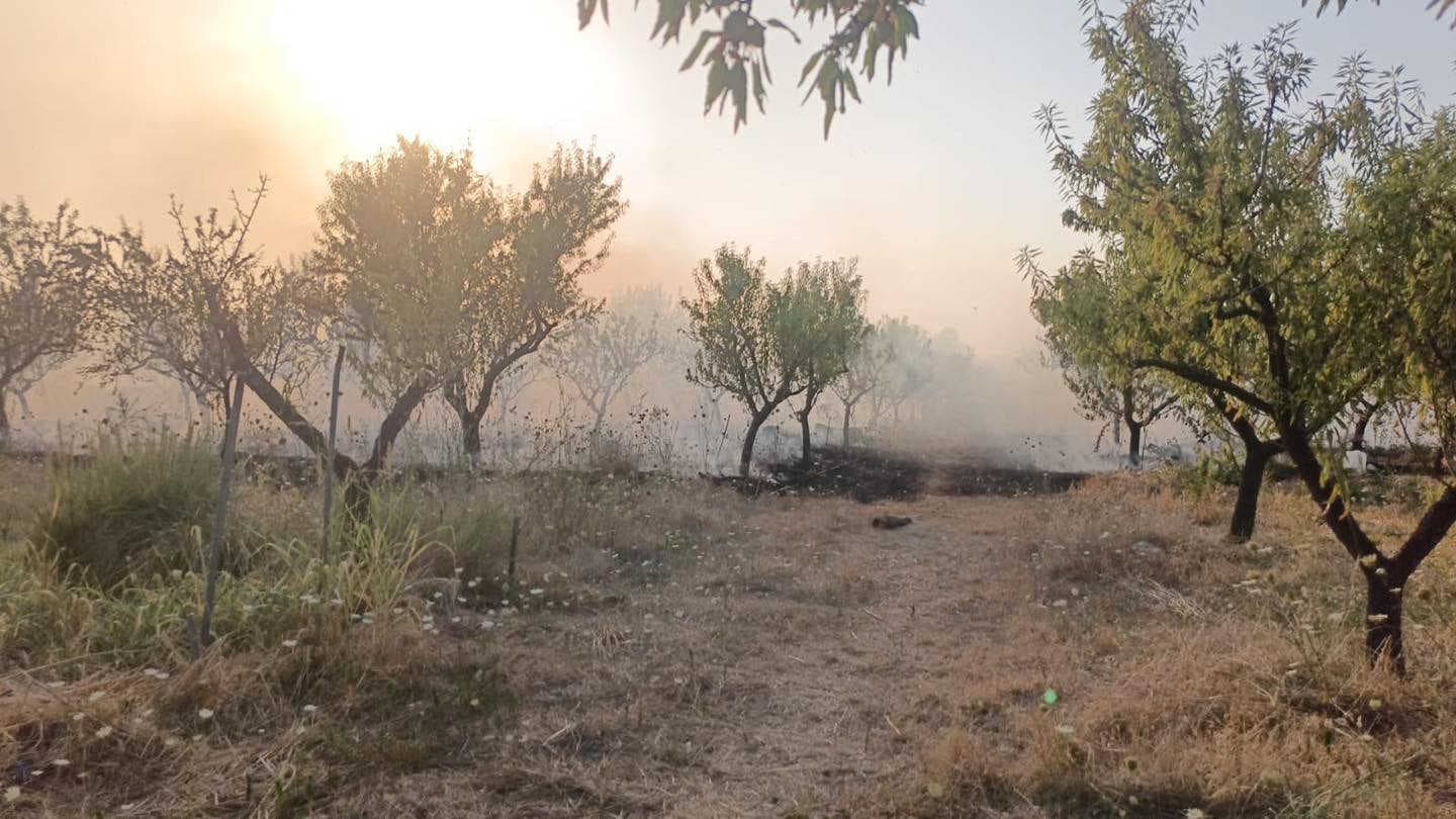 Brucia un'Oasi della Biodiversità 3Bee in Puglia