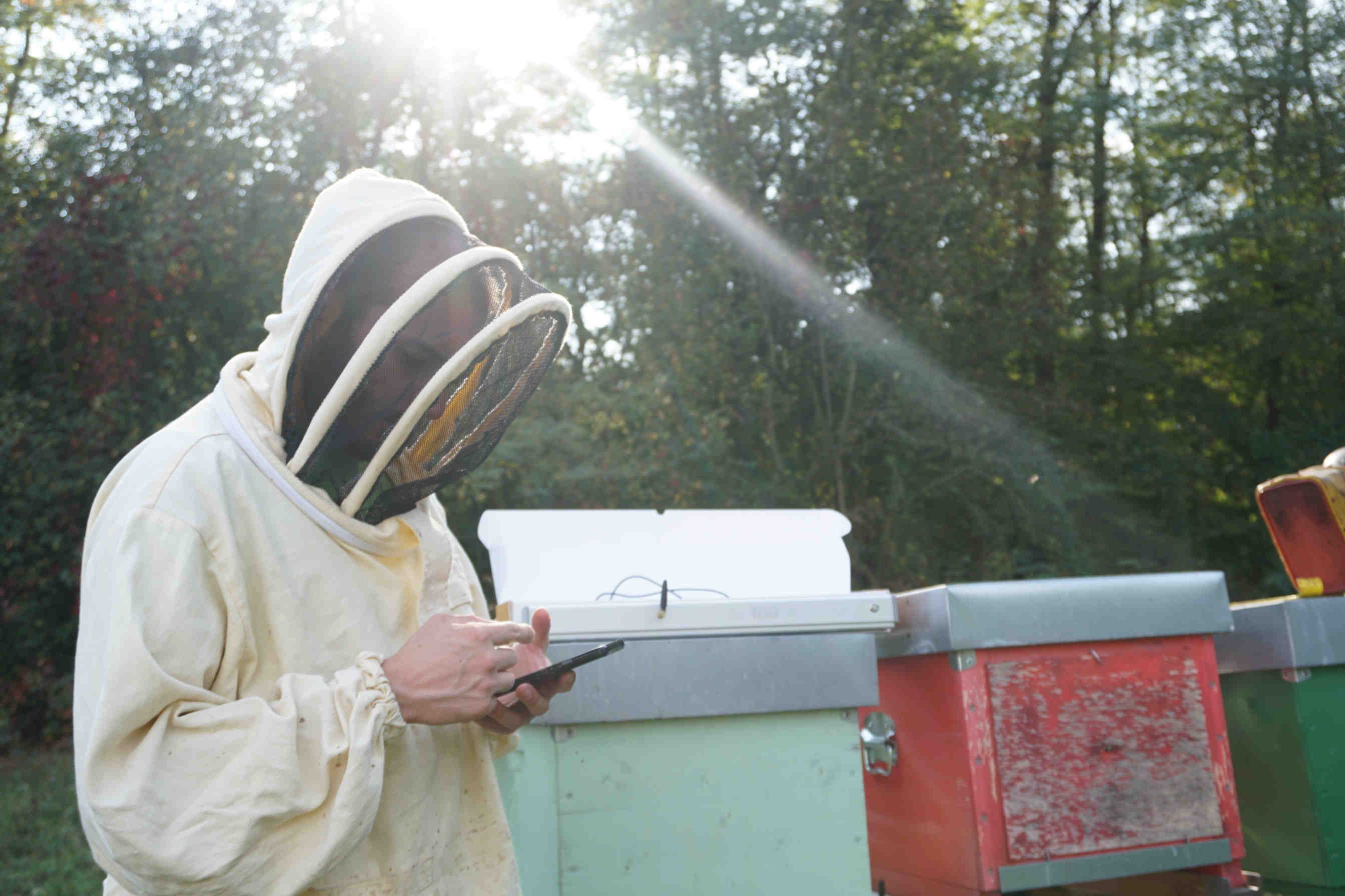La ayuda de la tecnología para proteger a las abejas