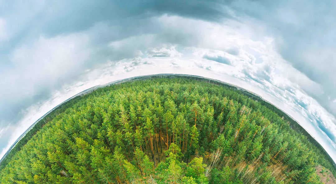 Biodiversité et écosystèmes : de quoi s'agit-il ?
