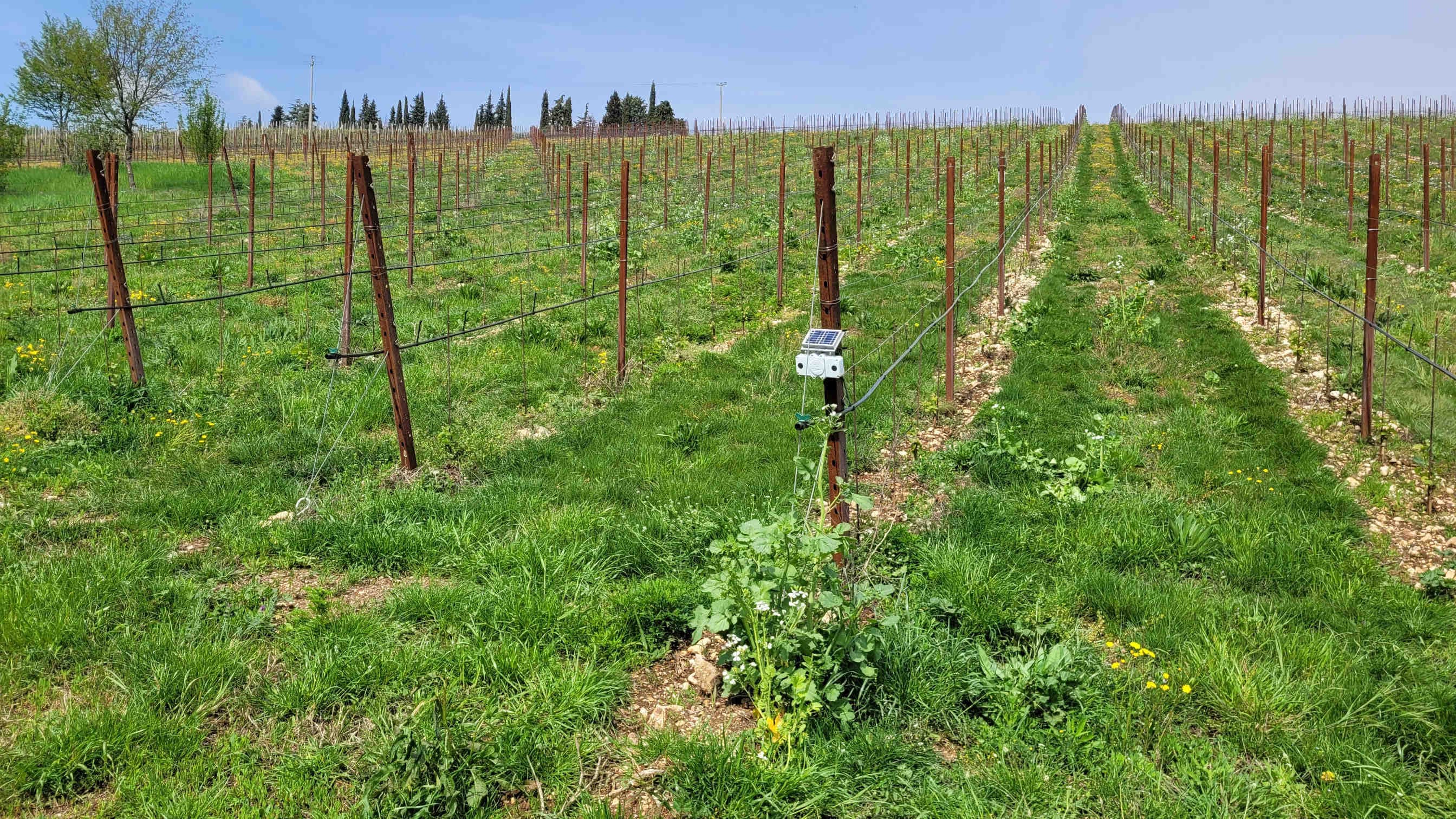 3Bee e Leone Alato: i primi risultati del progetto XNatura