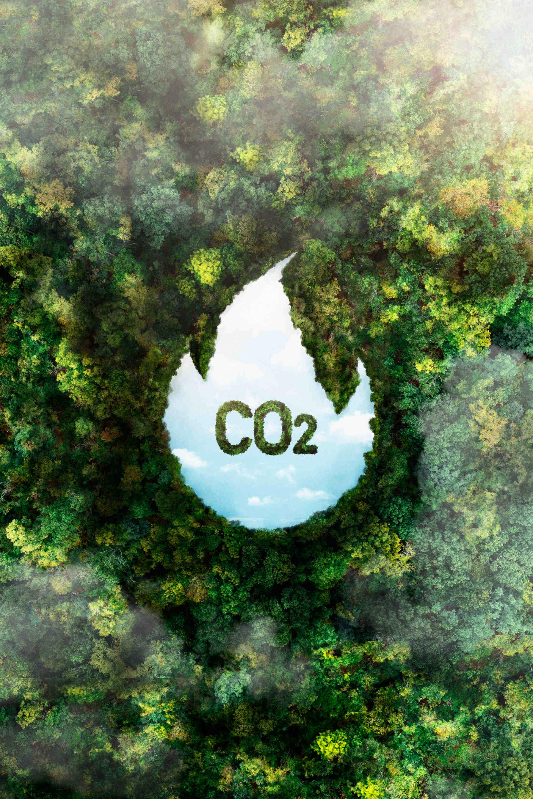 anidride carbonica CO2
