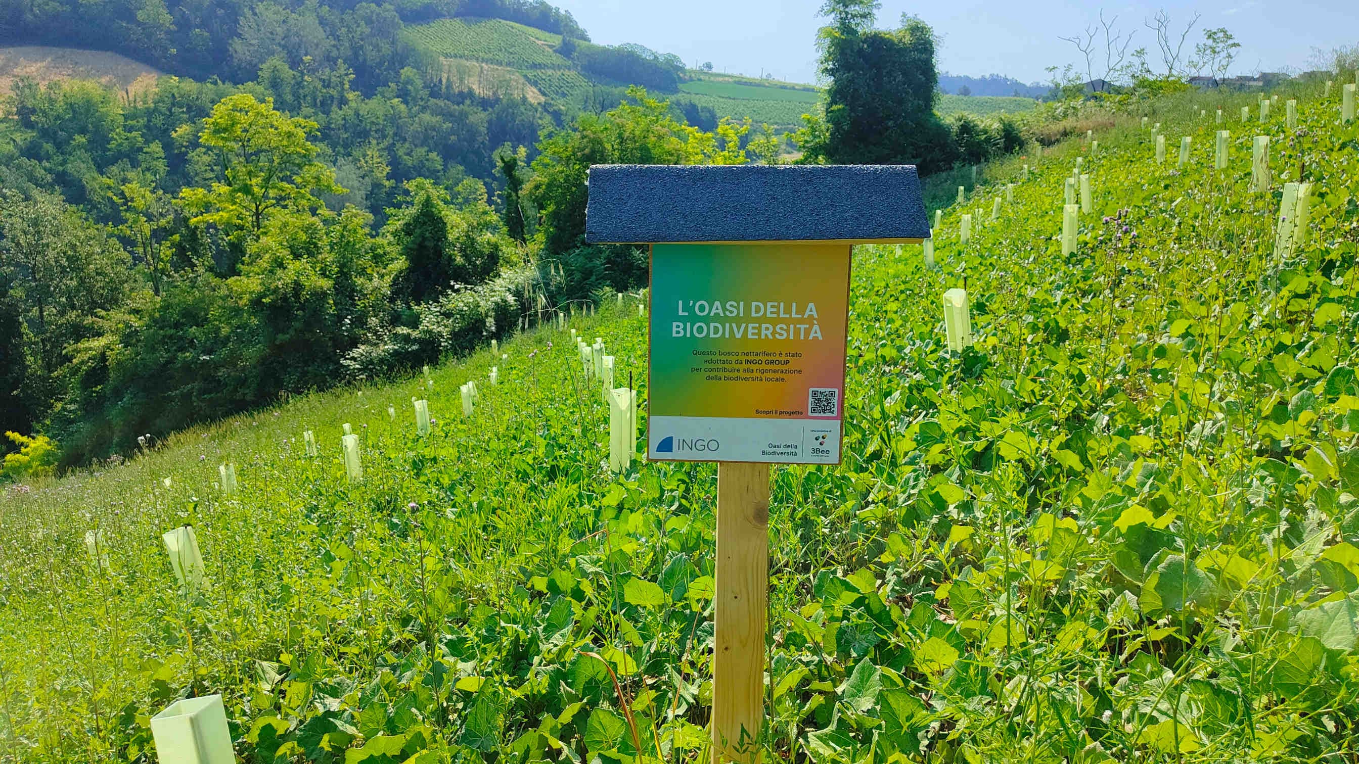 Oase der Biodiversität 3Bee