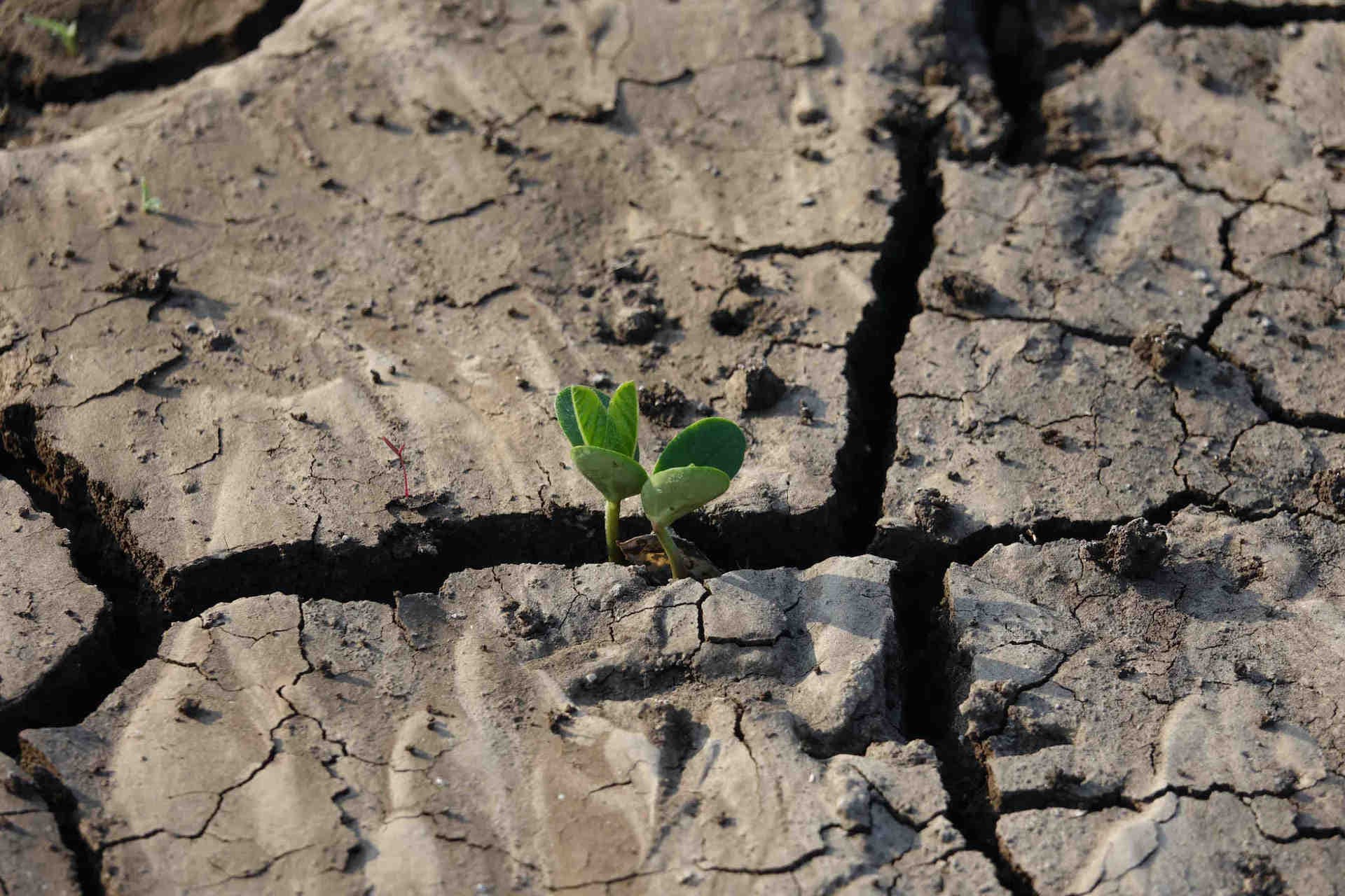 Les conséquences du Green Hushing