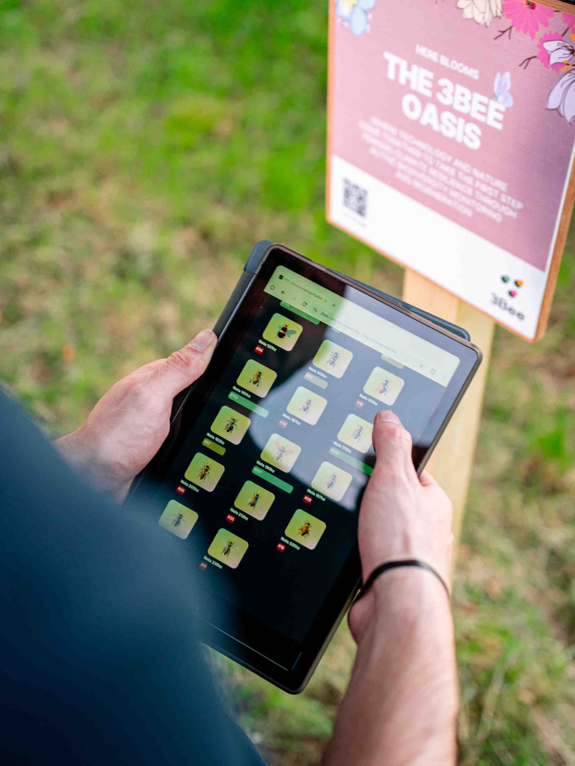 Metodologie per valutare l'efficacia delle NbS nella VIA